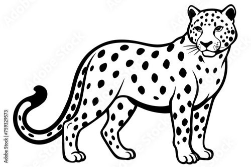 leopard vector illustration