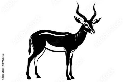 deer vector illustration