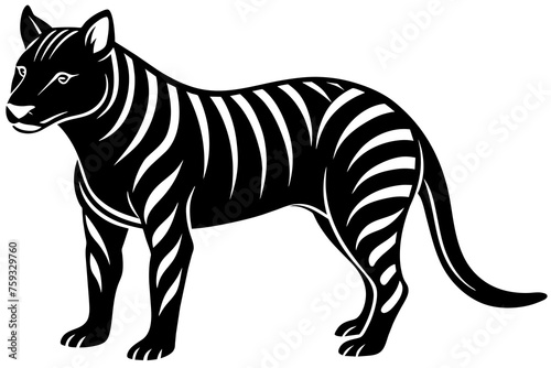 tasmanian tiger vector illustration