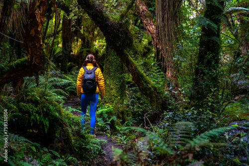 hiker with a backpack walking through a magical, dense rainforest in New Zealand South Island, Mount Aspiring National Park on the west coast