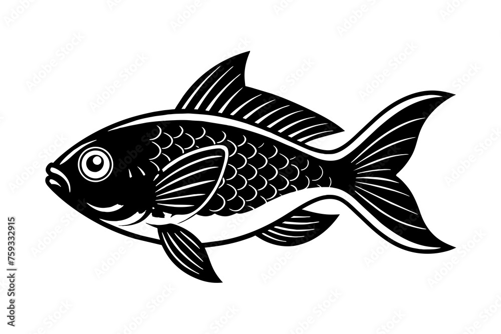 fish vector illustration fish vector illustration