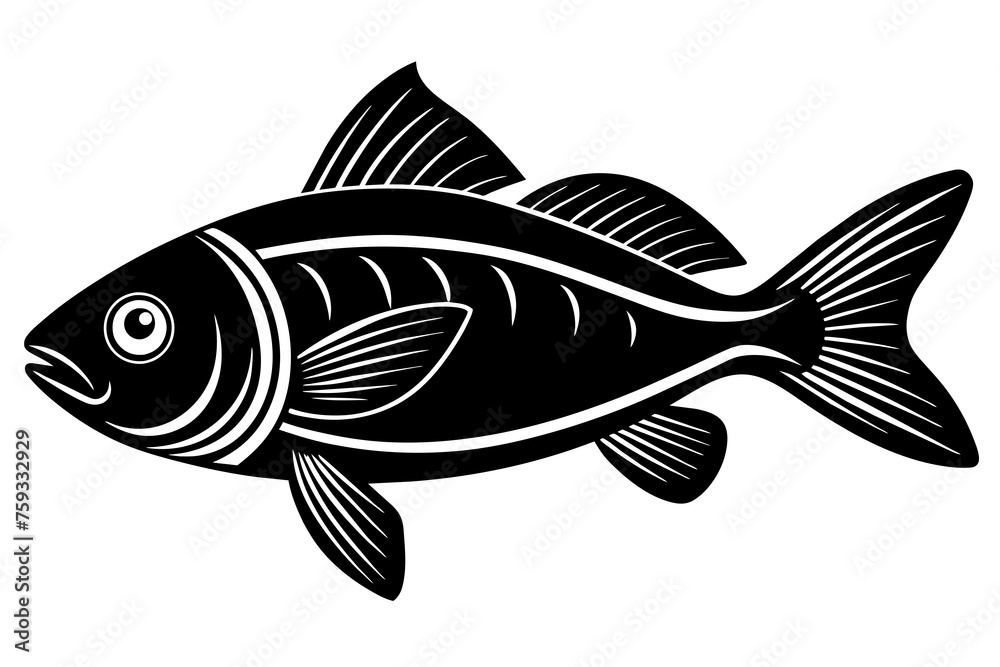 fish vector illustration fish vector illustration