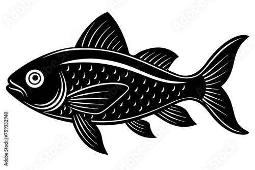 fish vector illustration