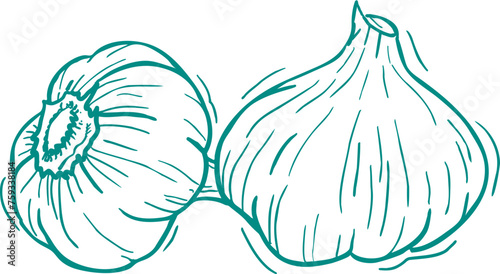 음식 재료 채소 과일 일러스트