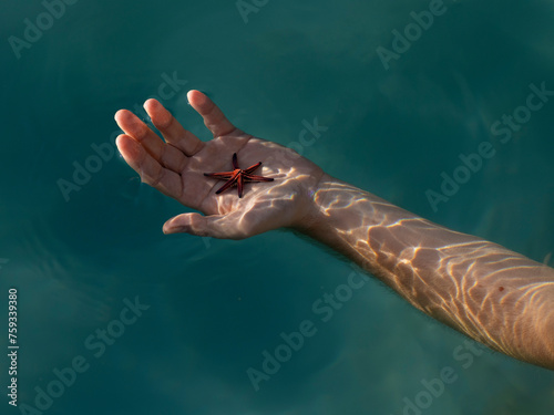 Male Hand in the water 