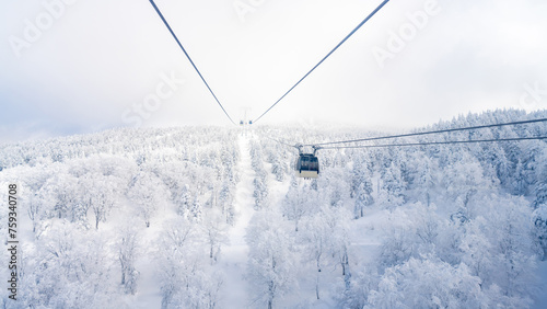 Point of view cableway moving up to snowy mountain peak ski resort. Aerial view of pine tree forest mountain covered in snow under cable car. Ski lift transportation and winter travel vacation concept