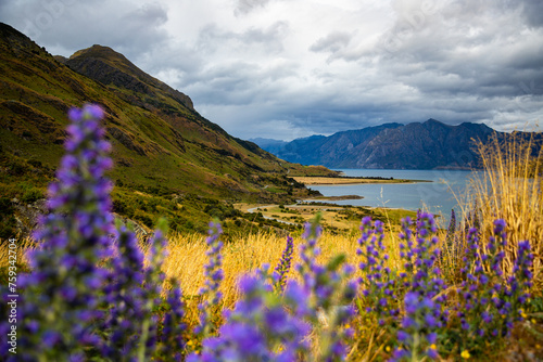 panorama of lake hawea surrounded with rugged mountains; famous lake in otago, new zealand south island photo