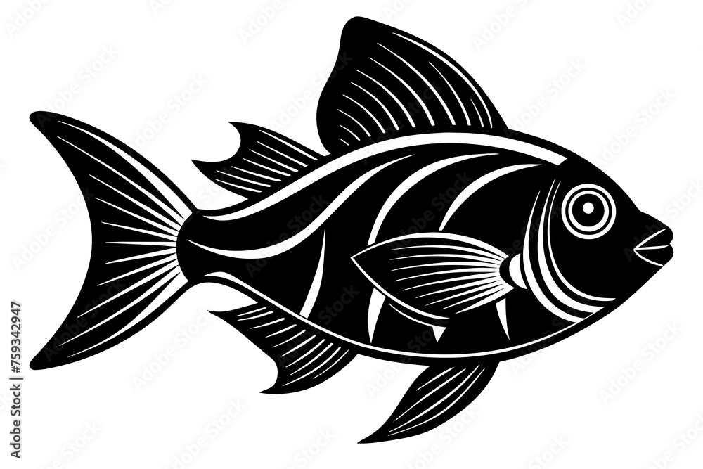 fish vector illustration fish vector illustration