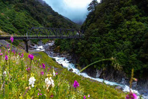 Fototapeta Naklejka Na Ścianę i Meble -  powerful falls and Haast river surrounded by native rainforest, Gates of Haast, Mount Aspiring National Park, Westland District, New Zealand