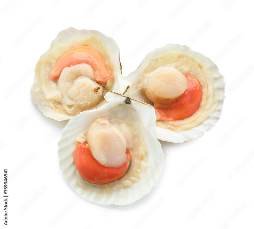 Fresh raw scallops in shells isolated on white, top view Fresh raw scallops in shells isolated on white, top view