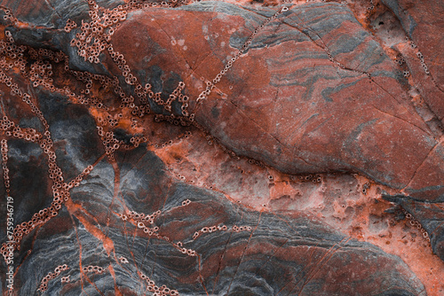 Abstract Crimson Flysch Stone Formation photo