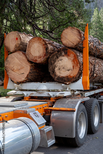 Orange truck transporting large logs in the forests of California