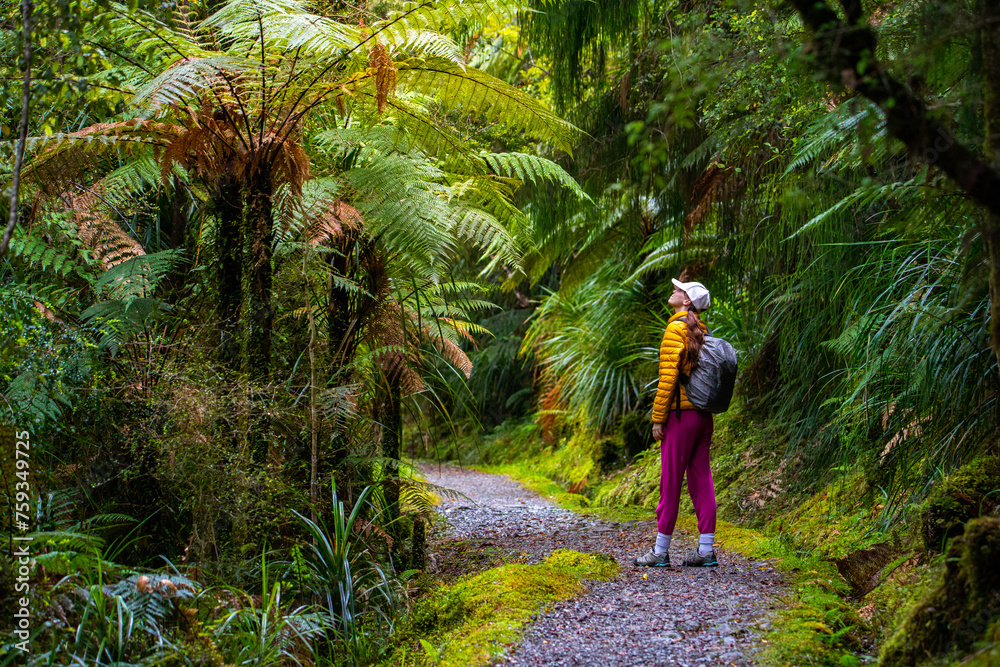 Obraz premium hiker girl walking through dense temperate rainforest on the way to monro beach, west coast of new zealand south island; lush vegetation in a jungle full of tree ferns
