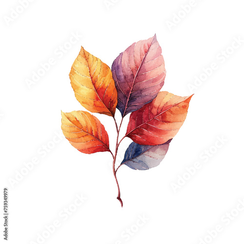 cute autumn leaves vector illustration in watercolour style