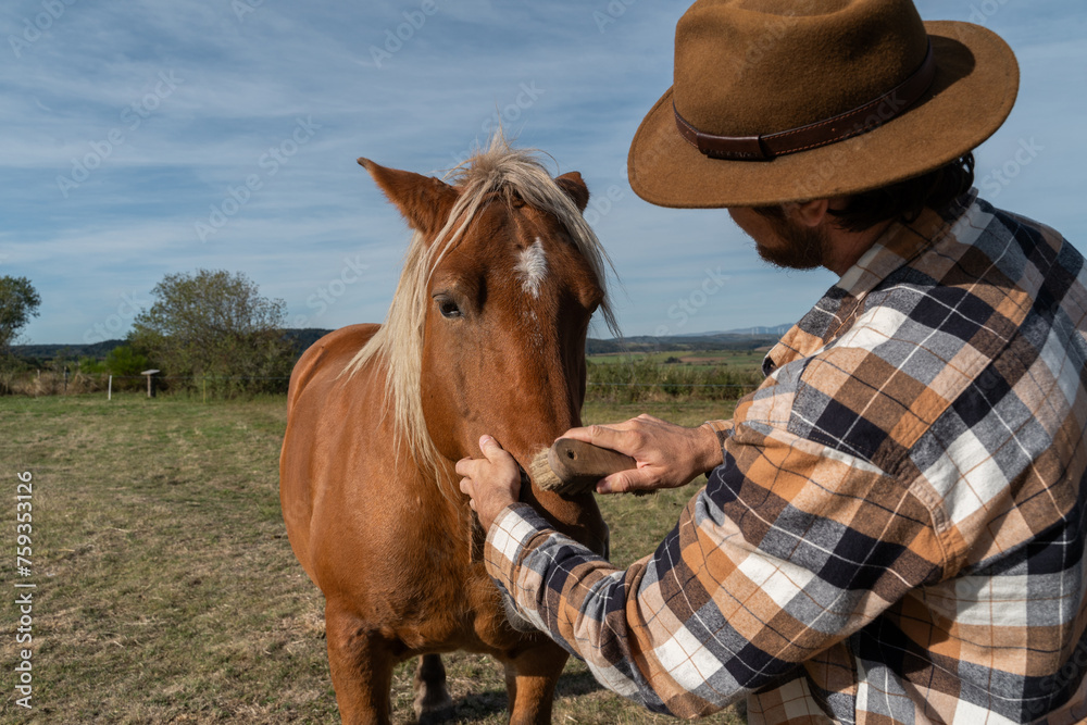 Man brushing horse