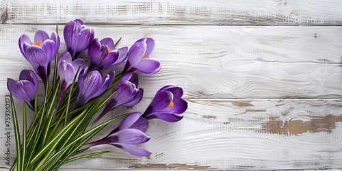 Vivid purple crocuses with bright orange pistils adorn the right side of a rustic white wooden background photo
