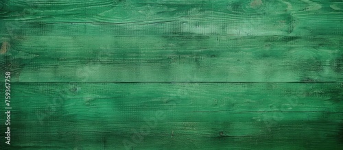 Scratched wooden background in green color. High-quality image of natural backdrop.