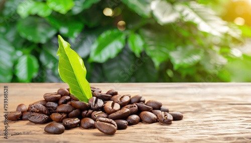 Coffee beans with leaves on the wooden table