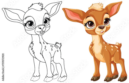 Vector illustration of a fawn, outlined and colored