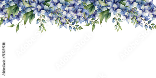 watercolor purple and blue flower with leaves Delphinium Flower with branch and leaves isolated on white background, corner border