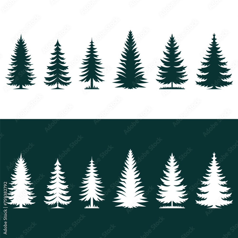VECTOR SILHOUETTE SET OF SPRUCE TREES ISOLATED ON WHITE AND GREEN BACKGROUND