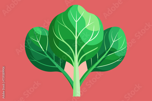 Green spinach leaves form a vibrant leafy background.