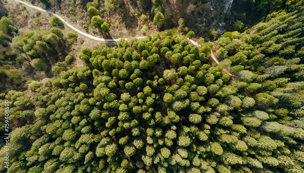 view from the top of a mountain or view from the top of the mountain or view from the mountain or field and sky with clouds or green plantation or field and sky view from the top of a mountain or view from the top of the mountain or view from the mountain or field and sky with clouds or green plantation or field and sky
