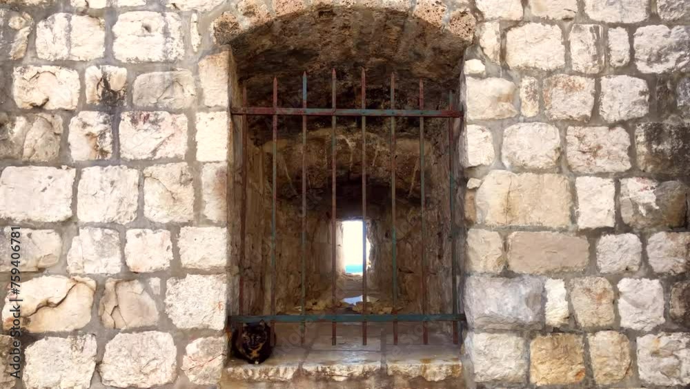 View of window slit of a stone castle wall with cat sitting inside. Dubrovnik city walls. Historic fortified city walls. World Heritage site. City walls. Dubrovnik, Croatia. Europe. View of window slit of a stone castle wall with cat sitting inside. Dubrovnik city walls. Historic fortified city walls. World Heritage site. City walls. Dubrovnik, Croatia. Europe.