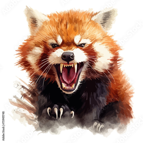Angry red panda cartoon in watercolor painting © Fauziah