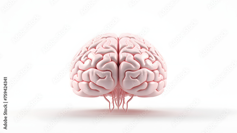 Brain 3d rendering Brain 3d rendering
