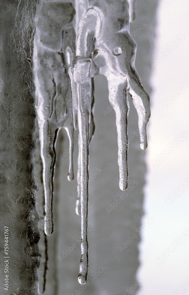 A view of Icicles formed from water leakage during a sunny day. Badde Salighe. Nuoro, sardinia. Italy