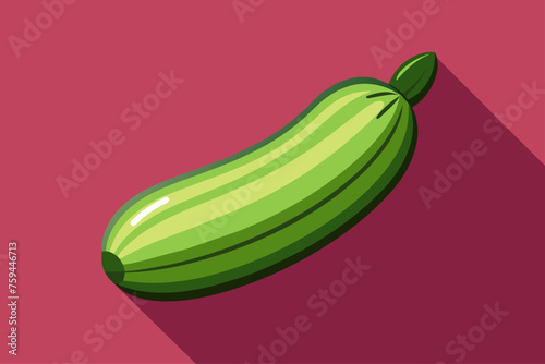 zucchini vegetable background