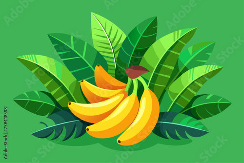 plantain fruit background