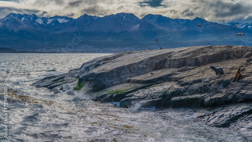 A small rocky island in the Beagle Channel. The waves of the turquoise ocean are beating against the cliffs. Sea lions are visible on the slopes. Cormorants fly. Mountains against a cloudy sky. 