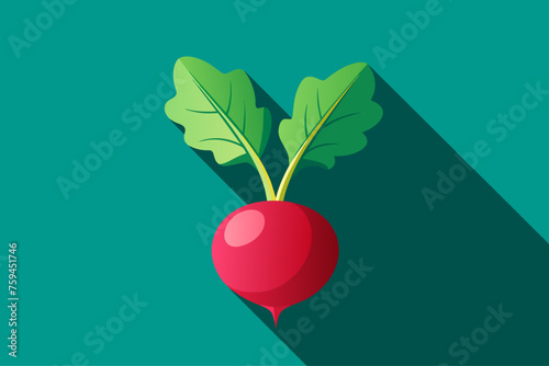 Fresh radishes are displayed on a white background, providing a bright and vibrant image.