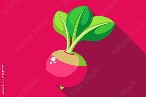 Fresh radishes are displayed on a white background, providing a bright and vibrant image.