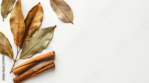 Sensory Harmony: Cinnamon Sticks