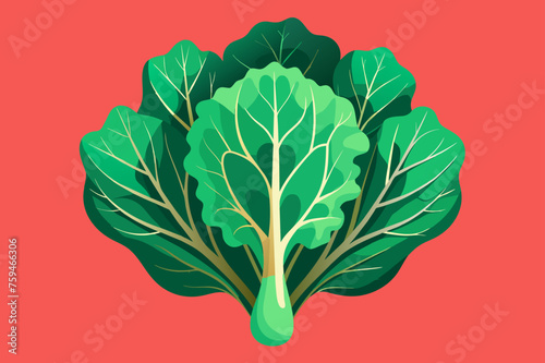 kale vegetable background