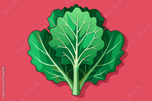 kale vegetable background