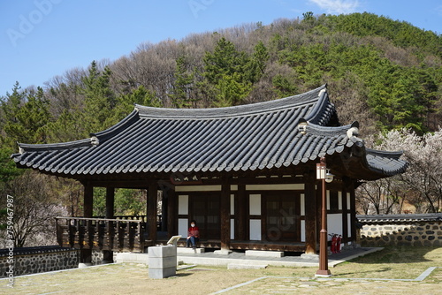 Uam Historical Park photo