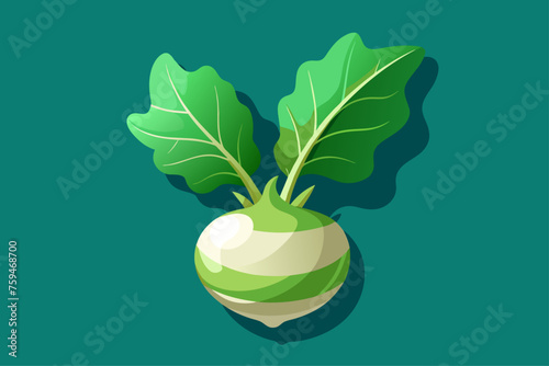 A background of kohlrabi vegetables, bright and colorful, showcasing their unique shape and texture.