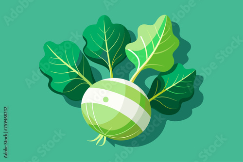 A background of kohlrabi vegetables, bright and colorful, showcasing their unique shape and texture.