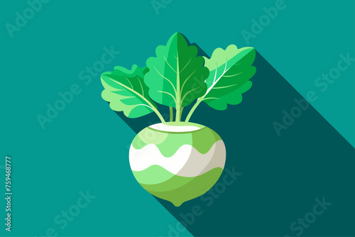 A background of kohlrabi vegetables, bright and colorful, showcasing their unique shape and texture.