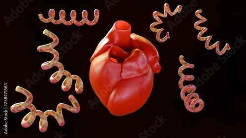 3d rendering of Cardiovascular syphilis refers to the infection of the heart and related blood vessels by the syphilis bacteria photo