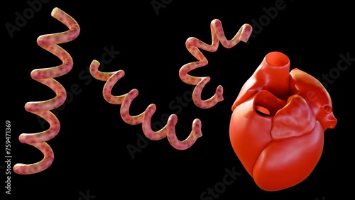 Foto 3d rendering of Cardiovascular syphilis refers to the infection of the heart and