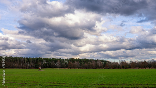 Ein Hochsitz auf einer Wiese, im Hintergrund Bäume und ein dramatischer Himmel photo
