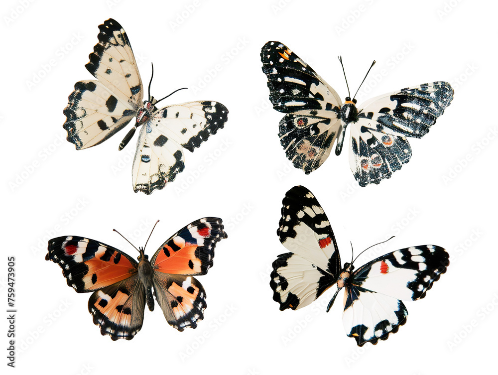 Naklejka premium implistic four or five butterflies in various patterns and colors, They are set against a plain white background PNG