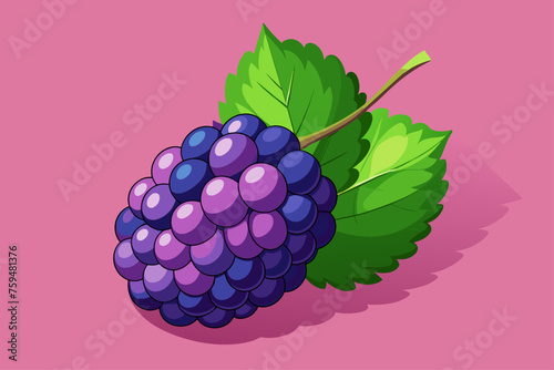 Mulberry fruit background is bursting with juicy mulberries against a vibrant background.