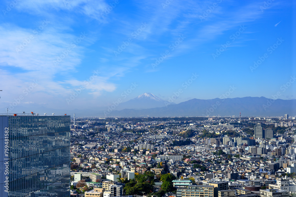Naklejka premium 横浜から観る富士山