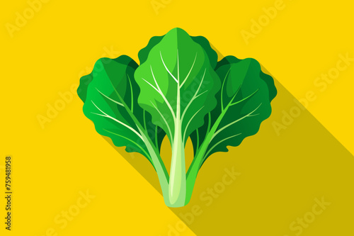 mustard greens vegetable background